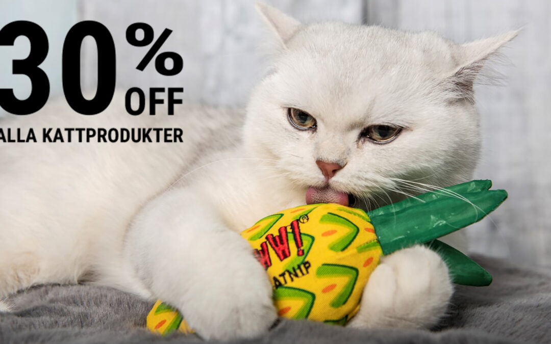 SOMMARREA PÅ ALLA KATTPRODUKTER